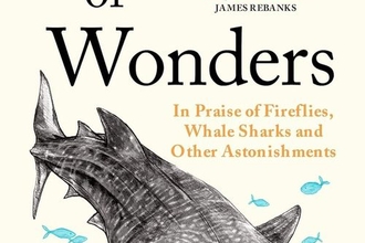 Book cover with a firefly and whale shark illustration