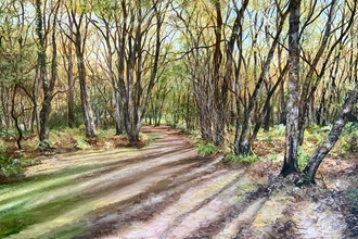 Knettishall heath by Ruth Simpson