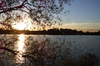 Sunset over a lake with a tree silhouetted