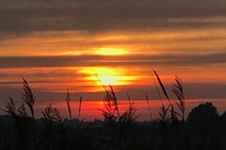 Hen Reedbeds sunset