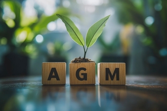 AGM 3 wooden blocks with sapling