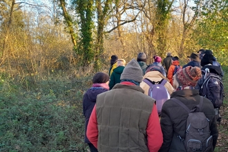 People walking along a path in a woodland