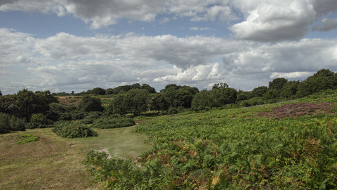 Church farm marshes Suffolk Wildlife Trust