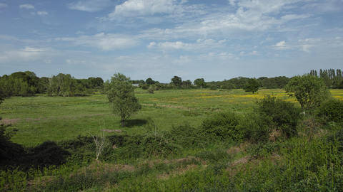 Chruch farm marshes Suffolk Wildlife Trust