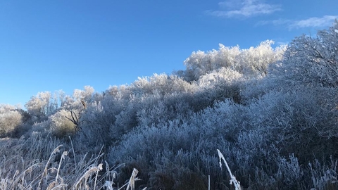 Hoar frost at Carlton Marshes - Andy Hickinbotham