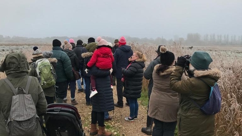 Waveney Valley wildlife group guided walk – Andy Hickinbotham