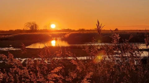 Carlton Marshes sunset, Anneke Emery 