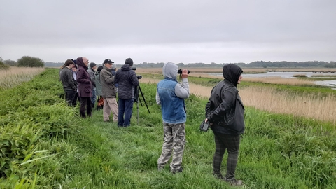 Evening chorus walk at Carlton Marshes – Gavin Durrant 