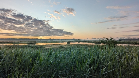 A view of Trimley Marshes Nature Reserve at sunrise