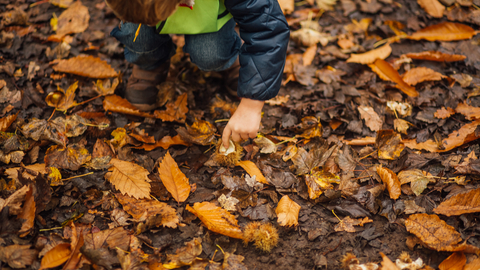 autumn leaves child