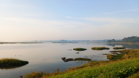 Martlesham Wilds nature reserve, River Deben, Suffolk