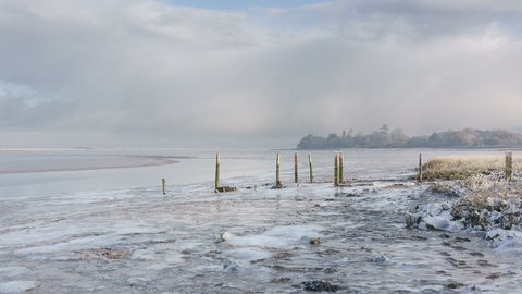 Mudflats factory in winter II