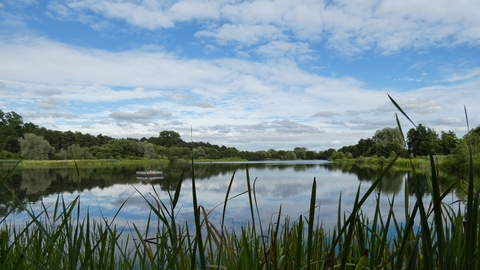 view of long reach from Bess's hide
