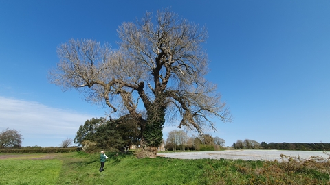 Butley NBP April 2023 Photo courtesy of David Appleton