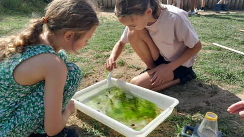 Two children viewing a pong dipping tray