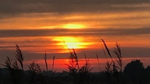 Hen Reedbeds sunset