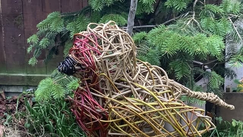 a robin sculpture made of woven willow 