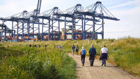 A group of people walking down a gravel track with cranes in the distance