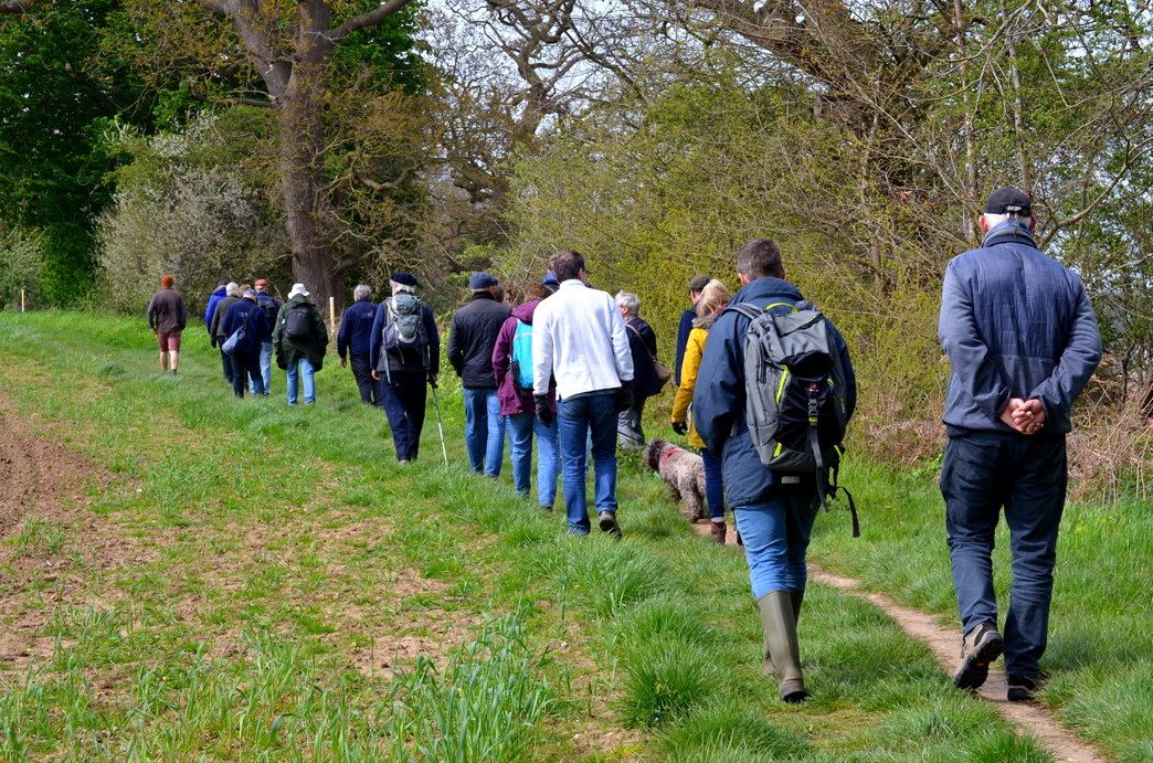 A thank you walk around Martlesham Wilds with Suffolk Coast & Heaths ...