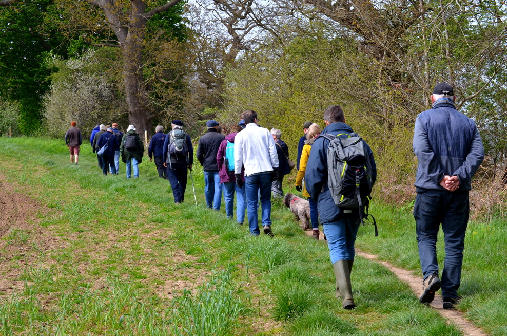 A thank you walk around Martlesham Wilds with Suffolk Coast & Heaths ...