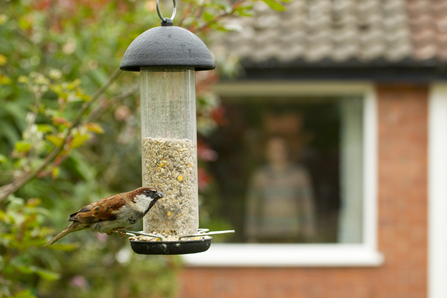 Suffolk Wildlife Trust