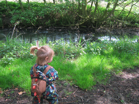 Suffolk Wildlife Trust