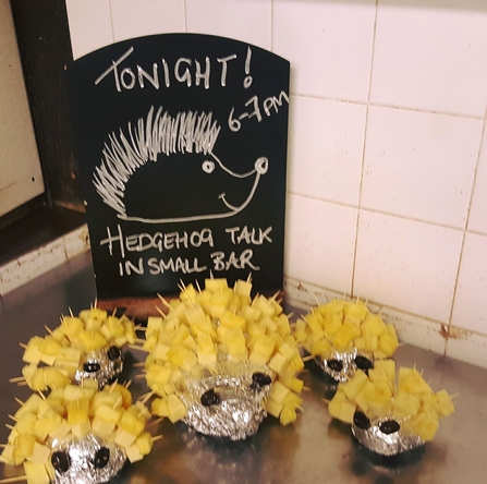 Hedgehog pineapple 