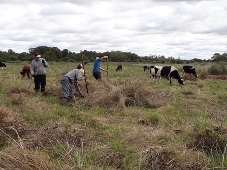 Sedge harvest at Redgrave & Lopham Fen - Richard Young