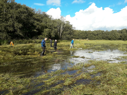 Suffolk Wildlife Trust