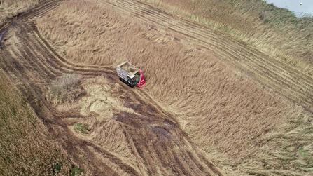 Reed management at Carlton Marshes - John Lord