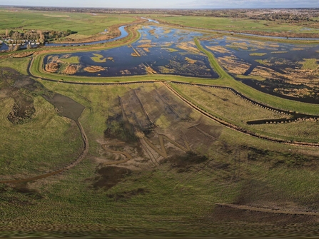 Suffolk Wildlife Trust