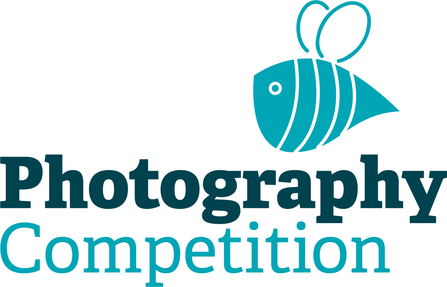 Photography competition logo 2021