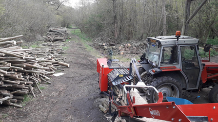 Coppice products, Bradfield Woods