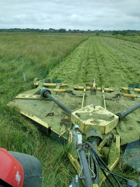 Topping Castle Marshes – Andrew Hickinbotham