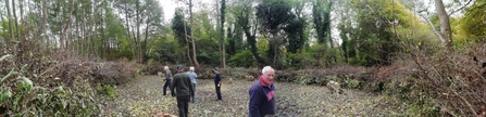 Dead hedge to protect coppice stumps from muntjac browsing – Gabby King 