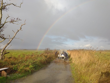 Work party at Carlton Marshes – Lewis Yates 