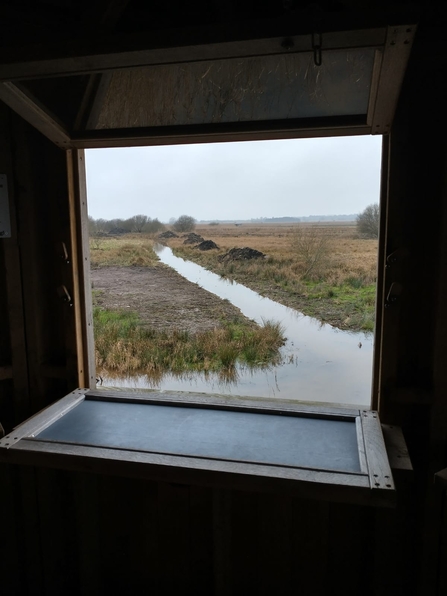 View of new dyke from Tower Hide – Lewis Yates 