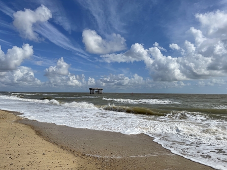 Sizewell Beach - Lucy Shepherd