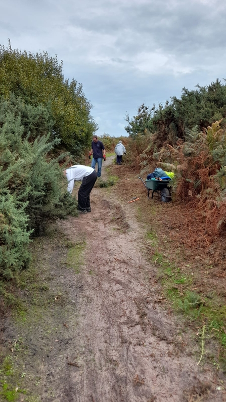 Volunteers at Gunton Warren – Gavin Durrant 