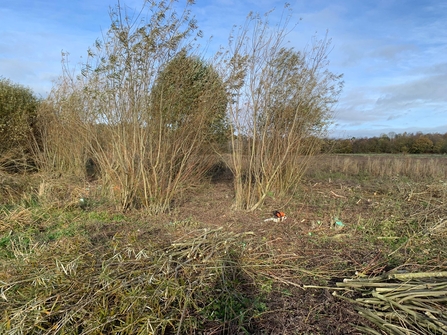 Work party at Mickle Mere - Linsey Grey 