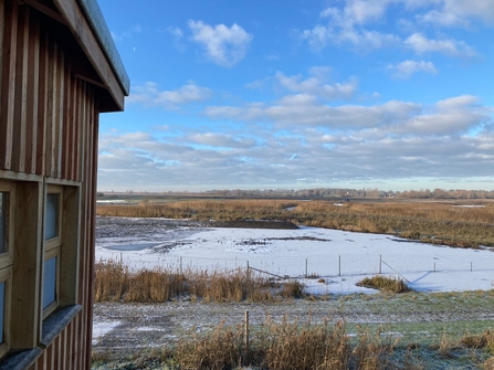 Scraped area in front of the hide with a potential kingfisher bank – Matt Gooch 