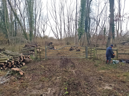 This gate was hidden last week - Richard Young 