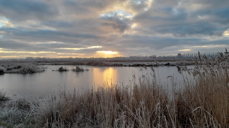 Beautiful morning to do the WeBS count - Gavin Durrant