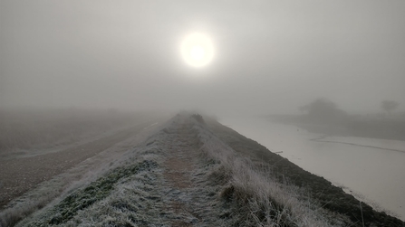 Frosty sunrise at Hen Reedbeds, Dan Doughty 