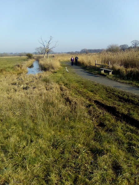 Heron at Carlton Marshes, Susan Stone