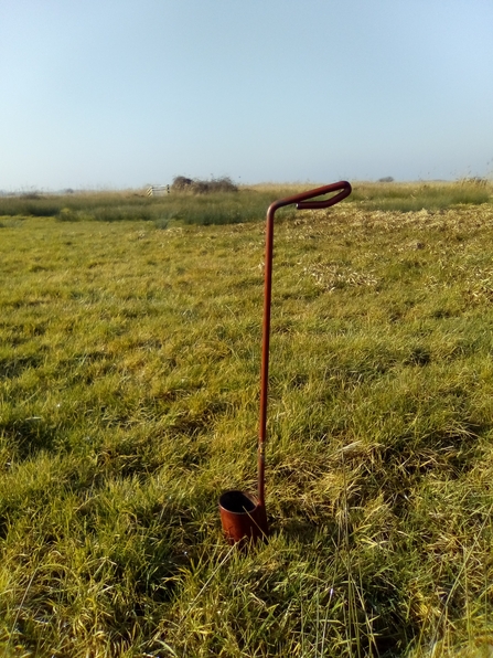 Soil sampling at Carlton Marshes, Susan Stone