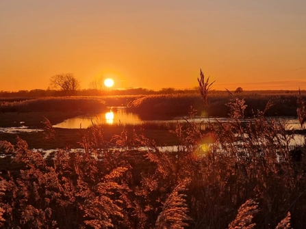 Carlton Marshes sunset, Anneke Emery 