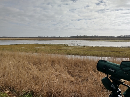 Winter WeBs count at Carlton Marshes, Lewis Yates 