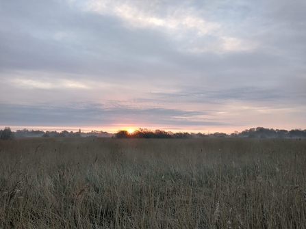 Sunrise at Carlton Marshes – Lewis Yates 