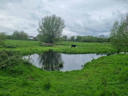 The Black Bourn at Mickle Mere – Joe Bell-Tye 